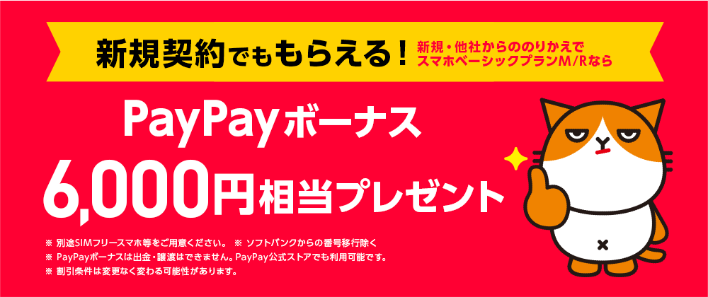 ワイモバイル「SIMのみ契約でPayPayボーナス最大6,000円相当プレゼント」