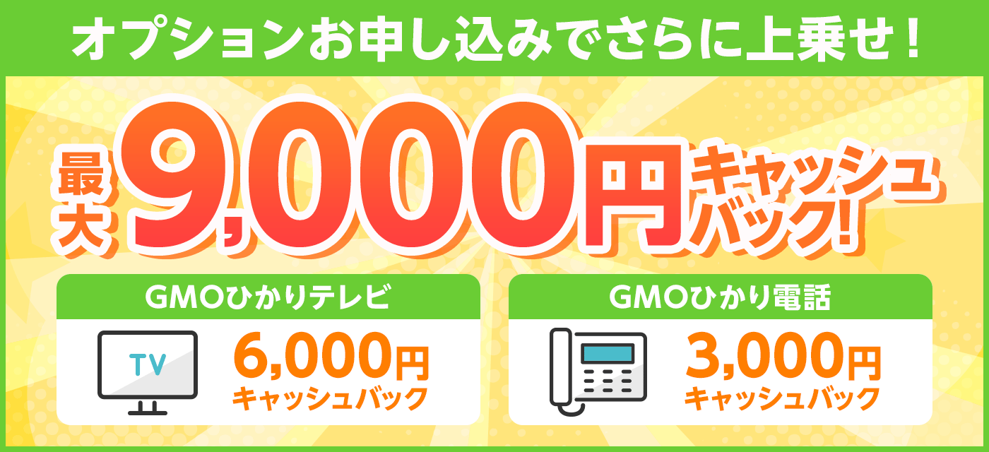 GMO光アクセス(とくとくBB光)「オプション追加で最大8,000円キャッシュバック増額キャンペーン」